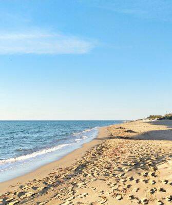 baignade-mediterrannee